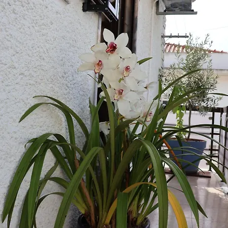Bba1 Climatise Centre-ville Apartamento *