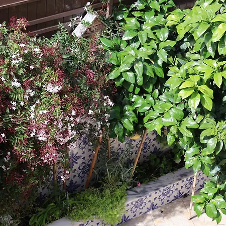 Bba1 Climatise Centre-ville