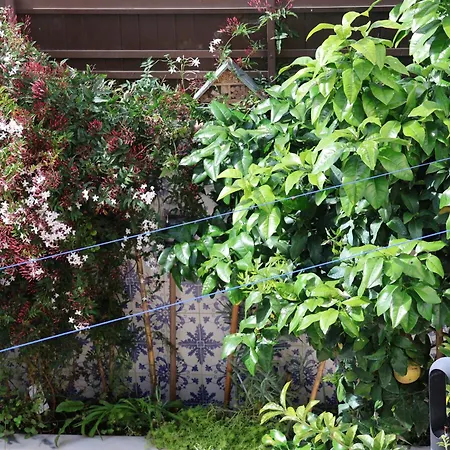 Apartmán Bba1 Climatise Centre-ville *